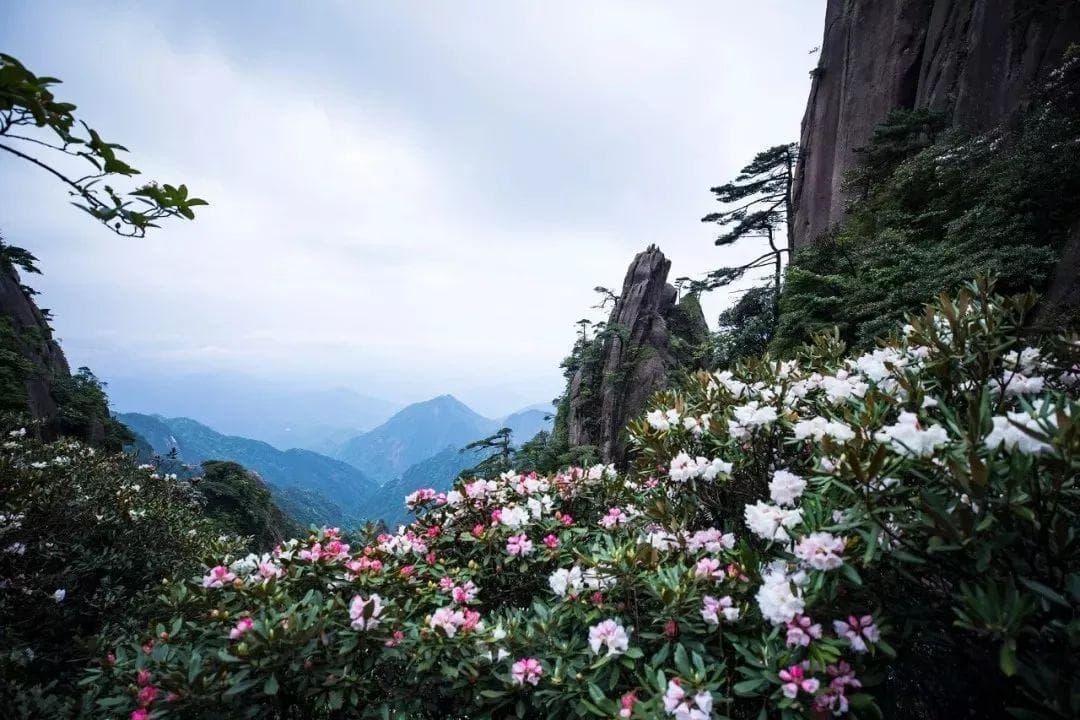 三清山一年四季风景特色
