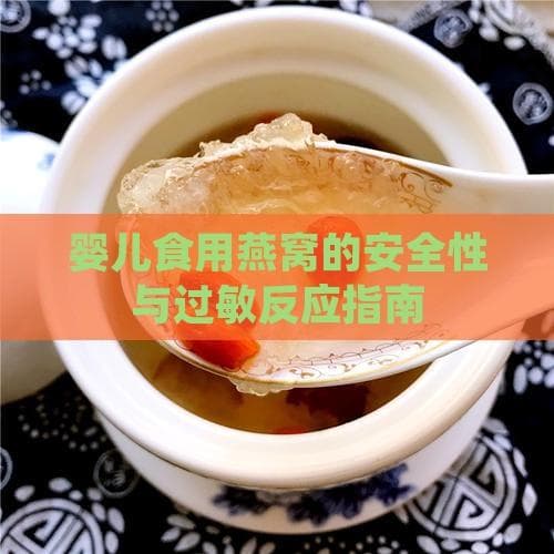 婴儿食用燕窝的安全性与过敏反应指南
