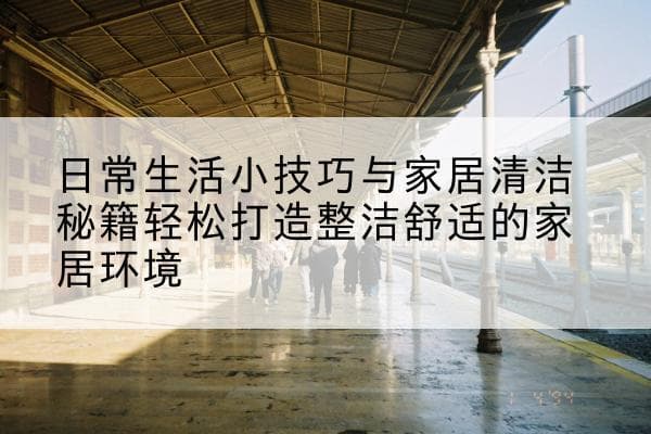 日常生活小技巧与家居清洁秘籍：轻松打造整洁舒适的家居环境