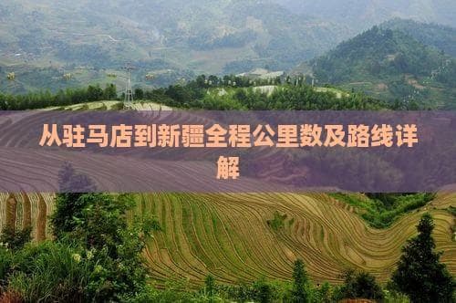 从驻马店到新疆全程公里数及路线详解