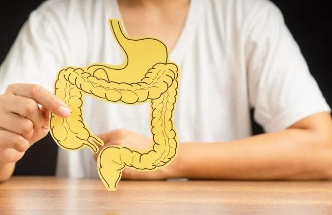 一文读懂益生菌、益生元、合生元与后生元