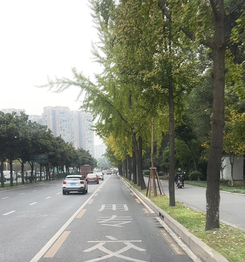 成都三环路公交车道使用规则为何调整？解答来了