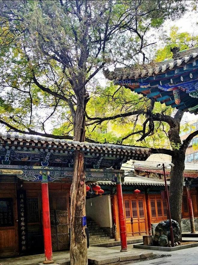人均15吃垮兰州，这10碗地道风味，没吃过算白来