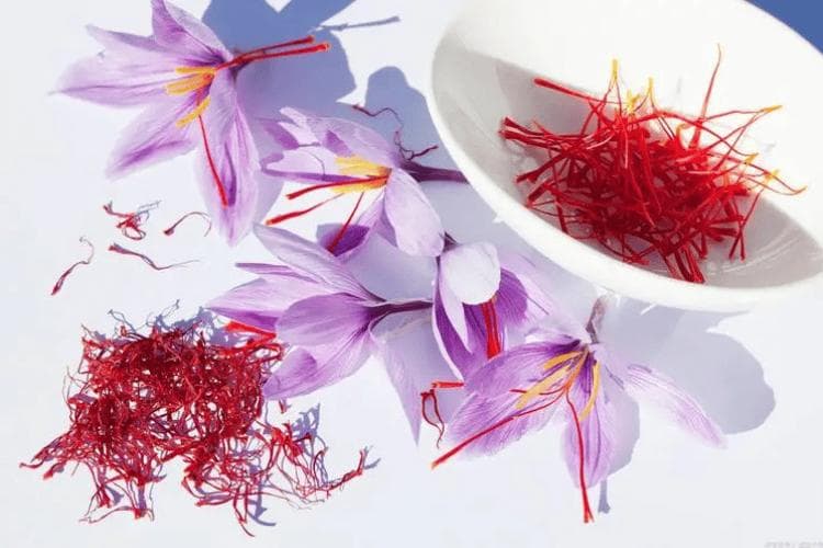 藏红花是寒性还是热性，正确喝法应该早上喝还是晚上喝？