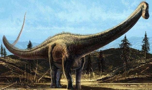 世界十大体型最大的恐龙排名：阿根廷龙荣登榜首