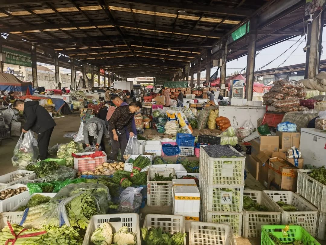 秋菜大量上市，徐州菜价从高位回落至合理区间