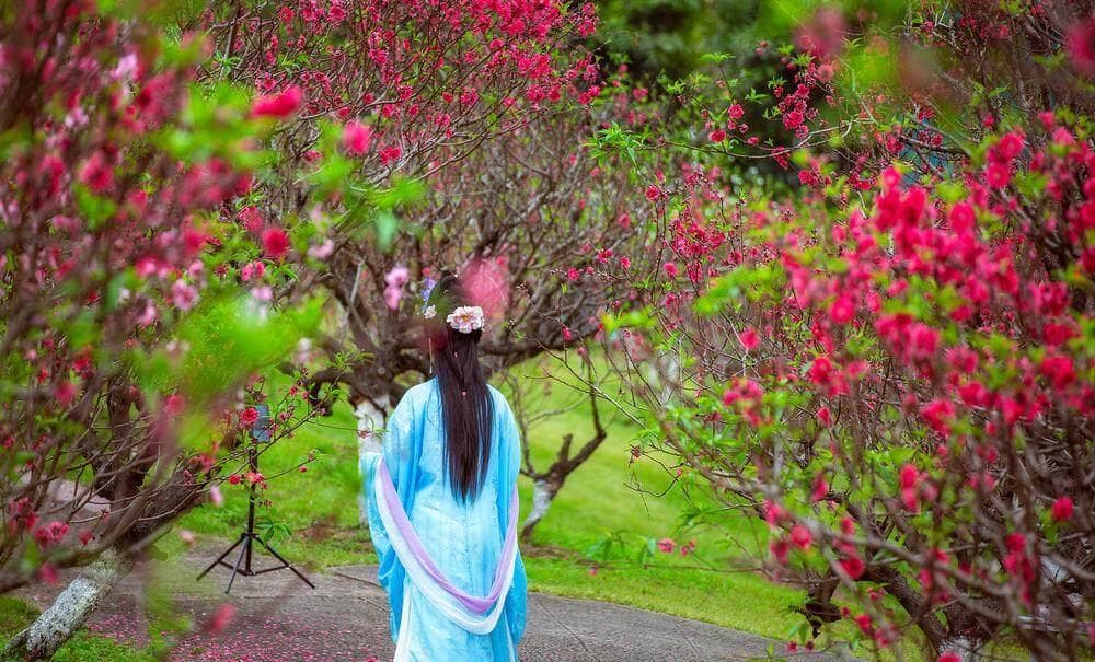 粤有年味暖人心：春节广州乡村文化游玩出“新花YOUNG”