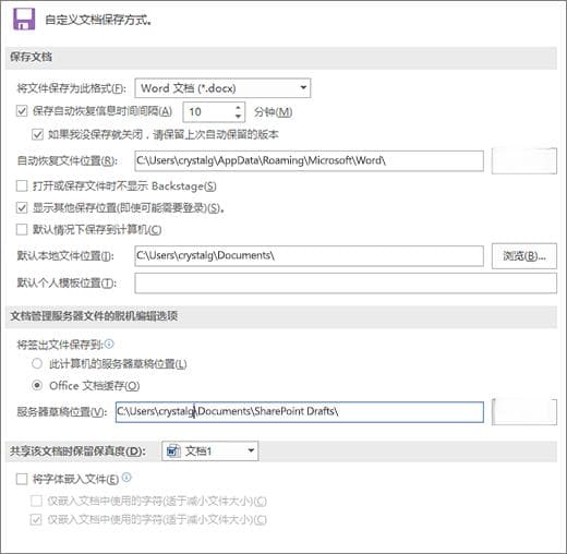 Word 选项（保存）