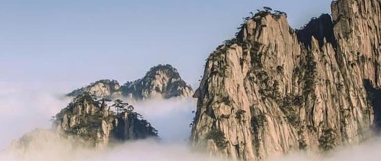 赞美的艺术：从心理学角度看人际互动