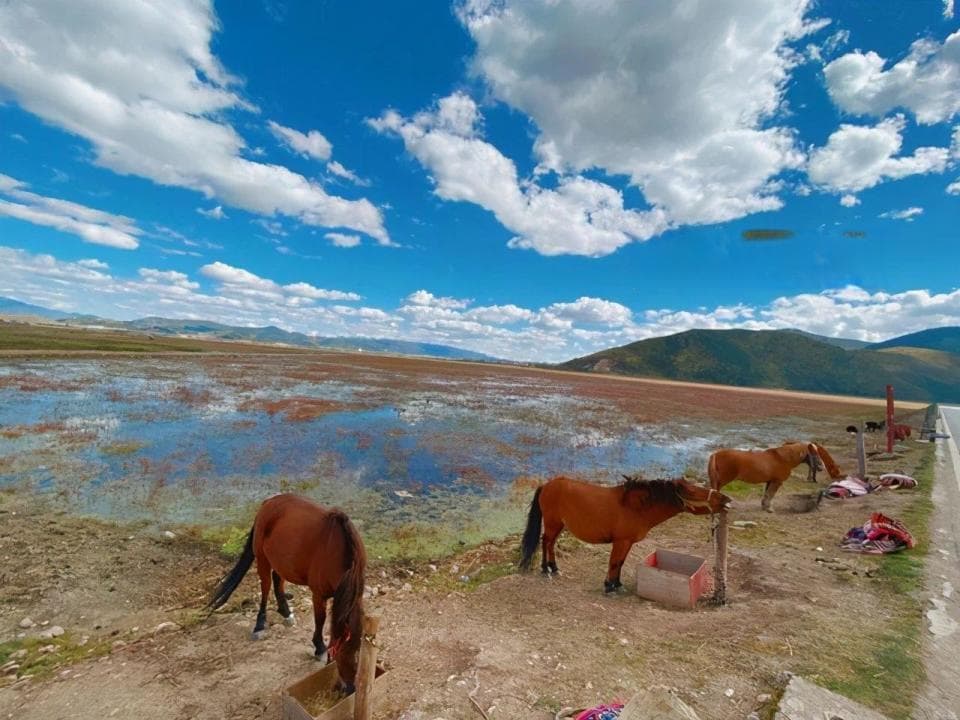 云南这座城市好特别，为了发展旅游，将原本的中文地名改成英文名？
