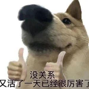 抖音评论区"oi"梗走红，这个网络暗号究竟有何玄机？
