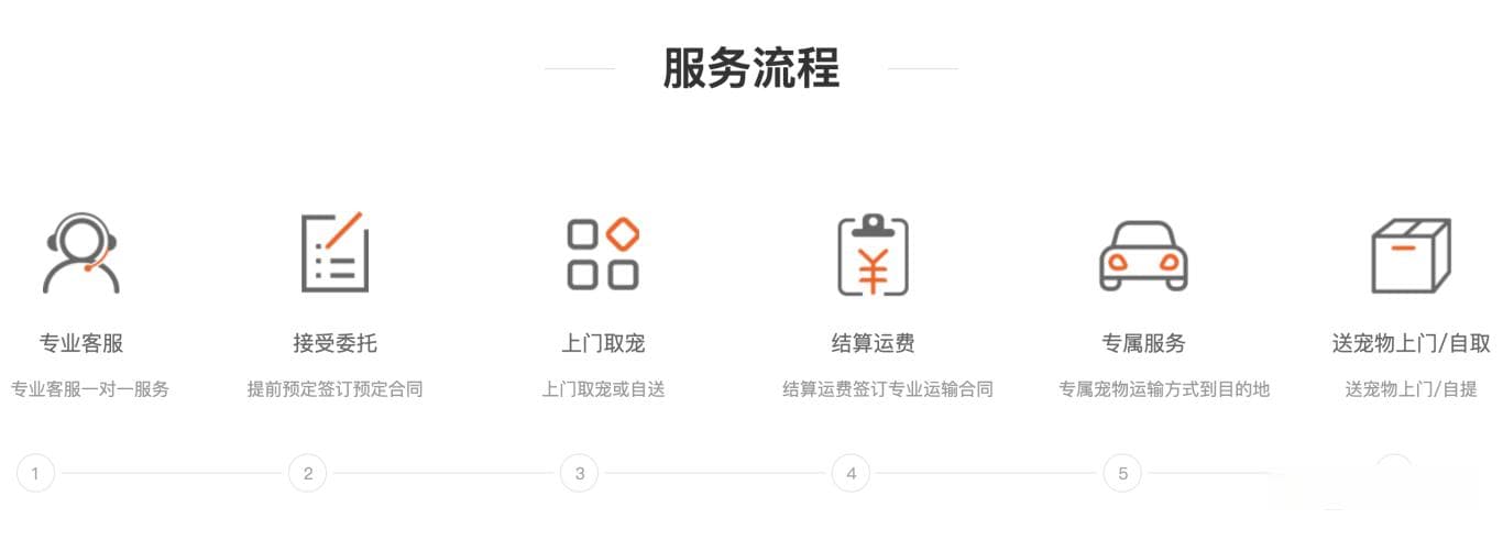 怎么寄宠物去外地？三种方式全解析
