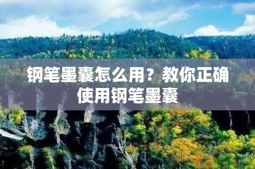 钢笔墨囊怎么用？教你正确使用钢笔墨囊