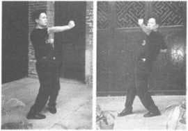 咏春拳经：九种基本技法详解