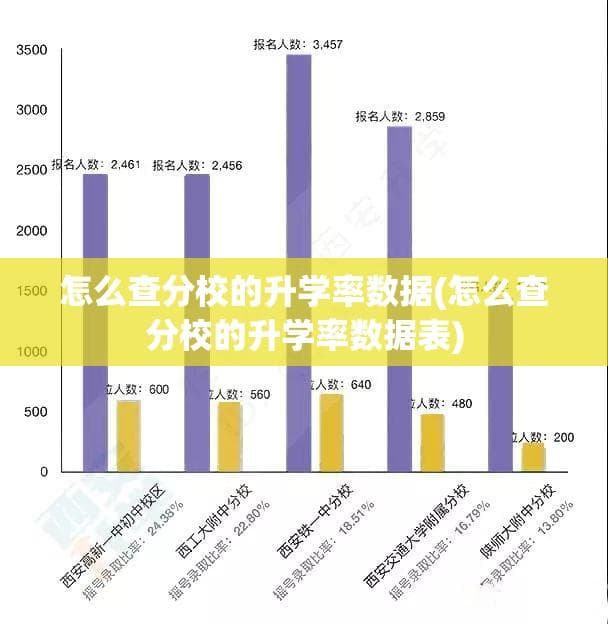 怎么查分校的升学率数据：全面指南与实用方法