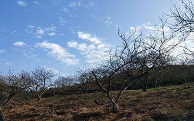 农村土地承包经营权确权的历史遗留问题及解决方法
