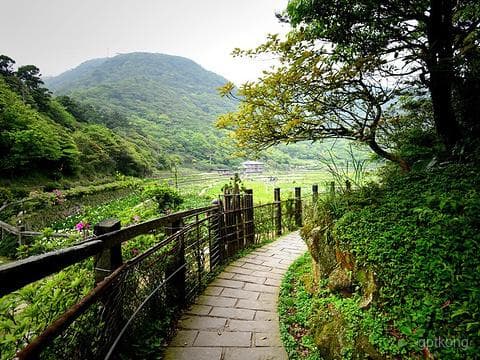 阳明山国家公园：台北的自然奇观与温泉胜地