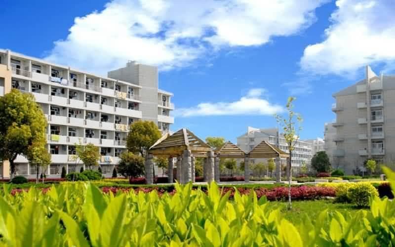 合肥工业大学市政工程专业2024年硕士研究生招生目录