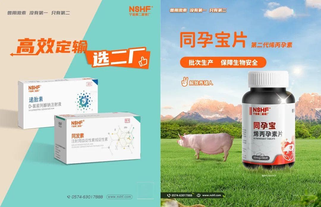 广东养猪业大揭秘：地方猪种濒危困境下，中小养猪户能否逆袭？