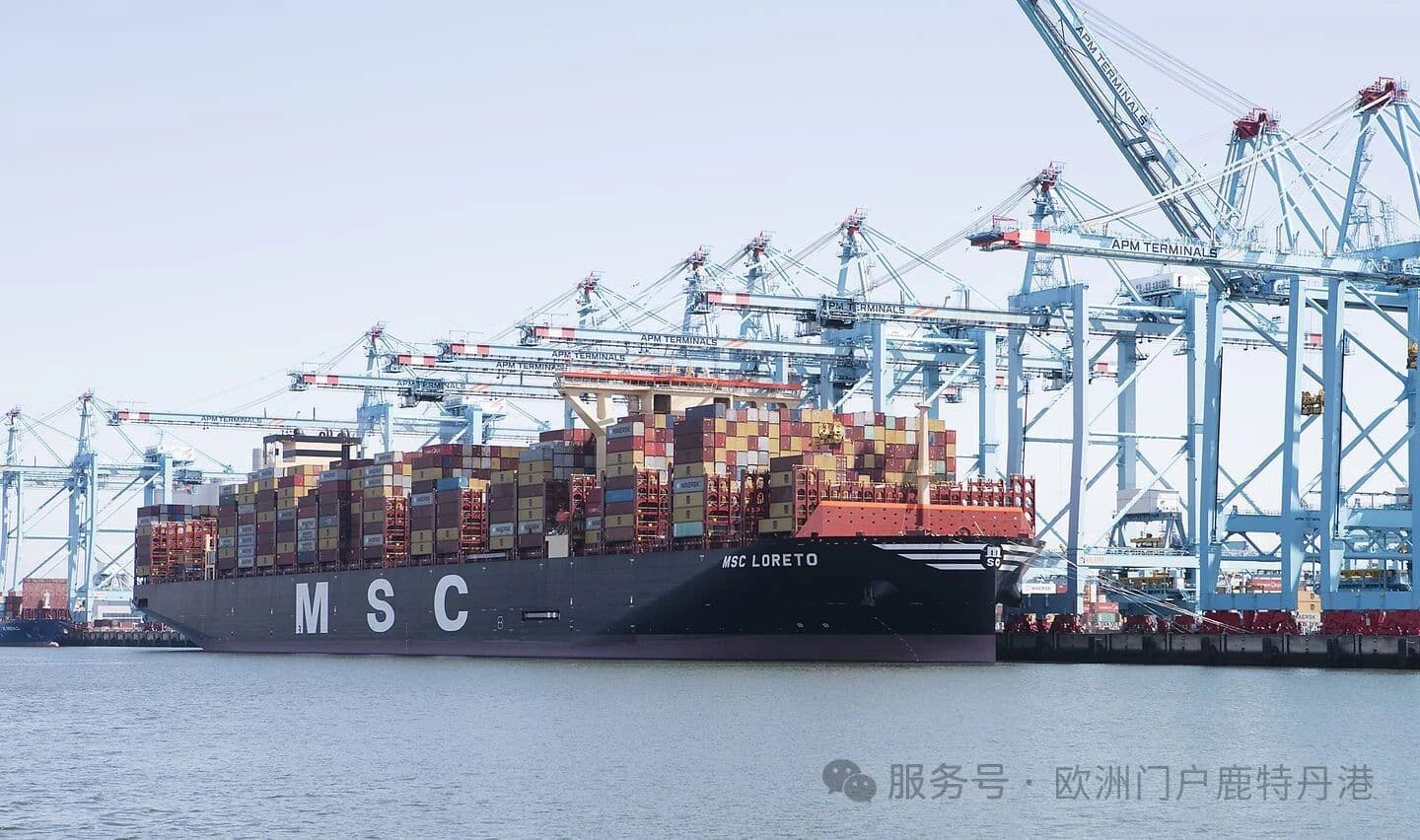 集装箱量不断增长：这对鹿特丹港的未来意味着什么？