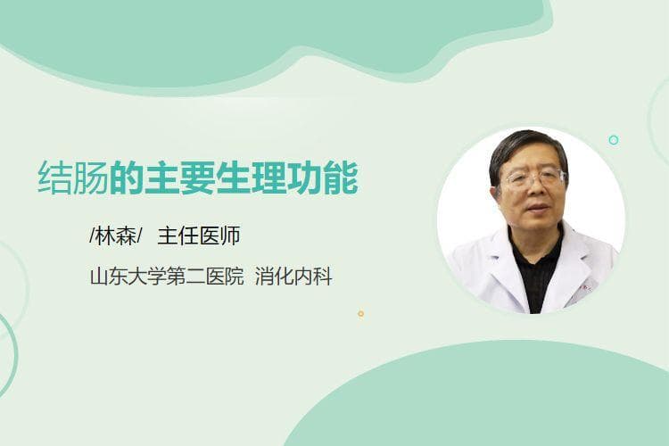 结肠的主要生理功能