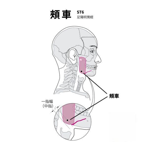 3个快速瘦脸穴位：承浆穴、颊车穴、地仓穴按摩方法详解