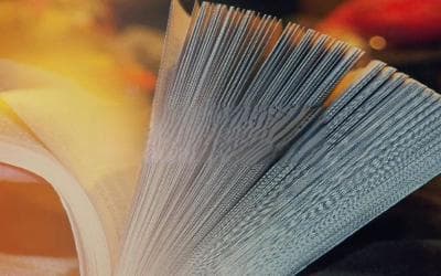 速度、时间和距离：物理学中的基本运动关系