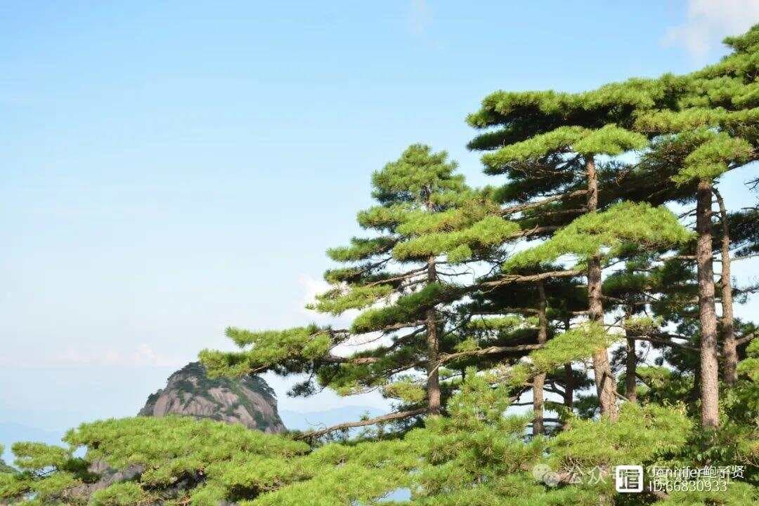 韩寒：散文《徽韵千秋，安徽之美》