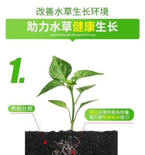 基肥在鱼缸种水草中的重要性（探讨基肥的使用方法和最佳情况）