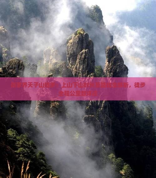 张家界天子山徒步：上山下山时长及路线全解析，徒步全程公里数详述