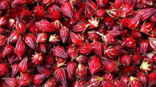 喝玫瑰花茶的9个禁忌