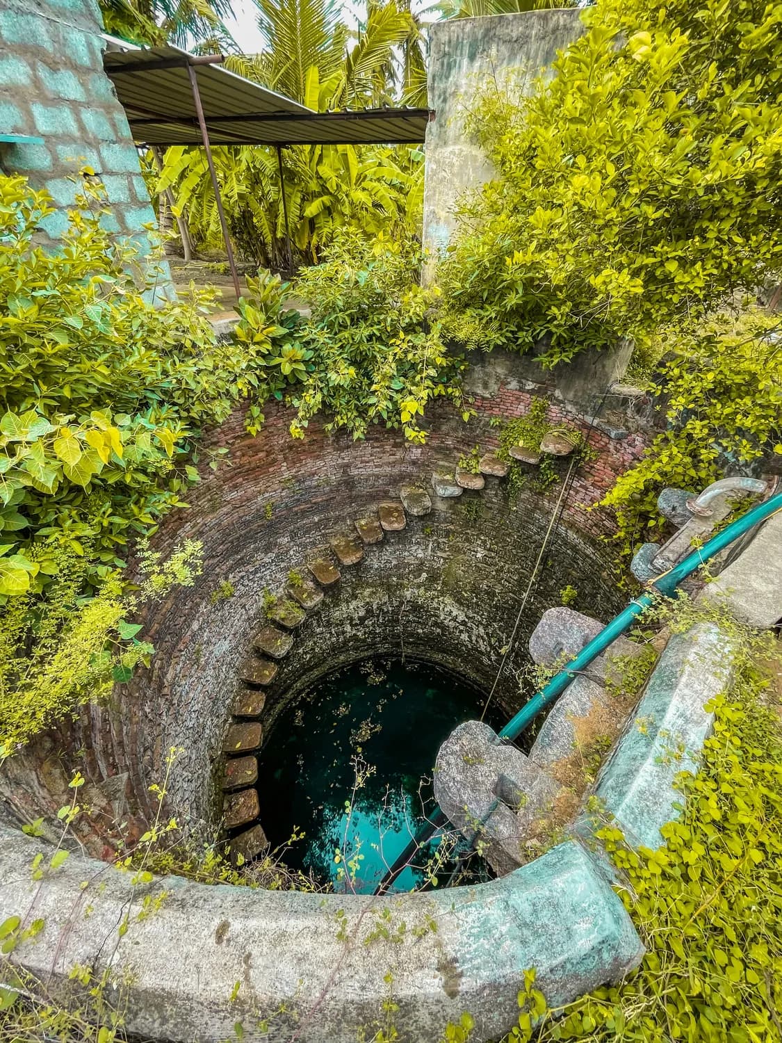 布依族米酒：千年传承的文化瑰宝