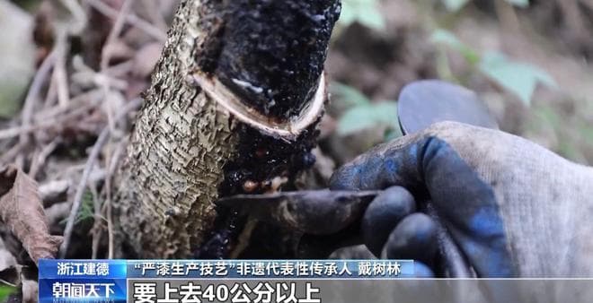 文化中国行丨非遗的现代“漆”迹 严漆重绽家居新魅力