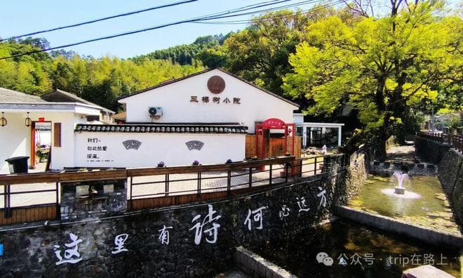 浙江宁波深溪村：古道幽深春色美，亲子徒步好去处