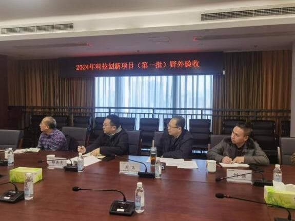 矿勘集团攻克高纯石英和锂辉石综合利用技术难题