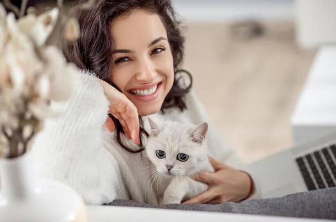 猫咪喜欢什么样的玩具？
