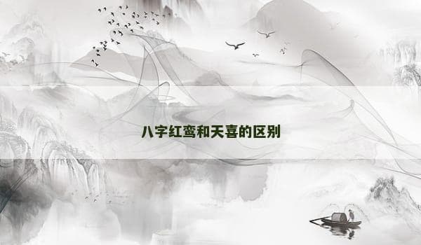 八字红鸾和天喜的区别