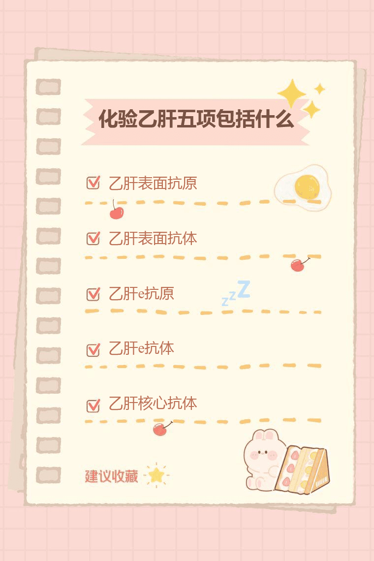 化验乙肝五项包括什么