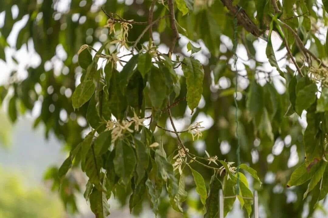 分享几种痰湿质人群的中医调养方法
