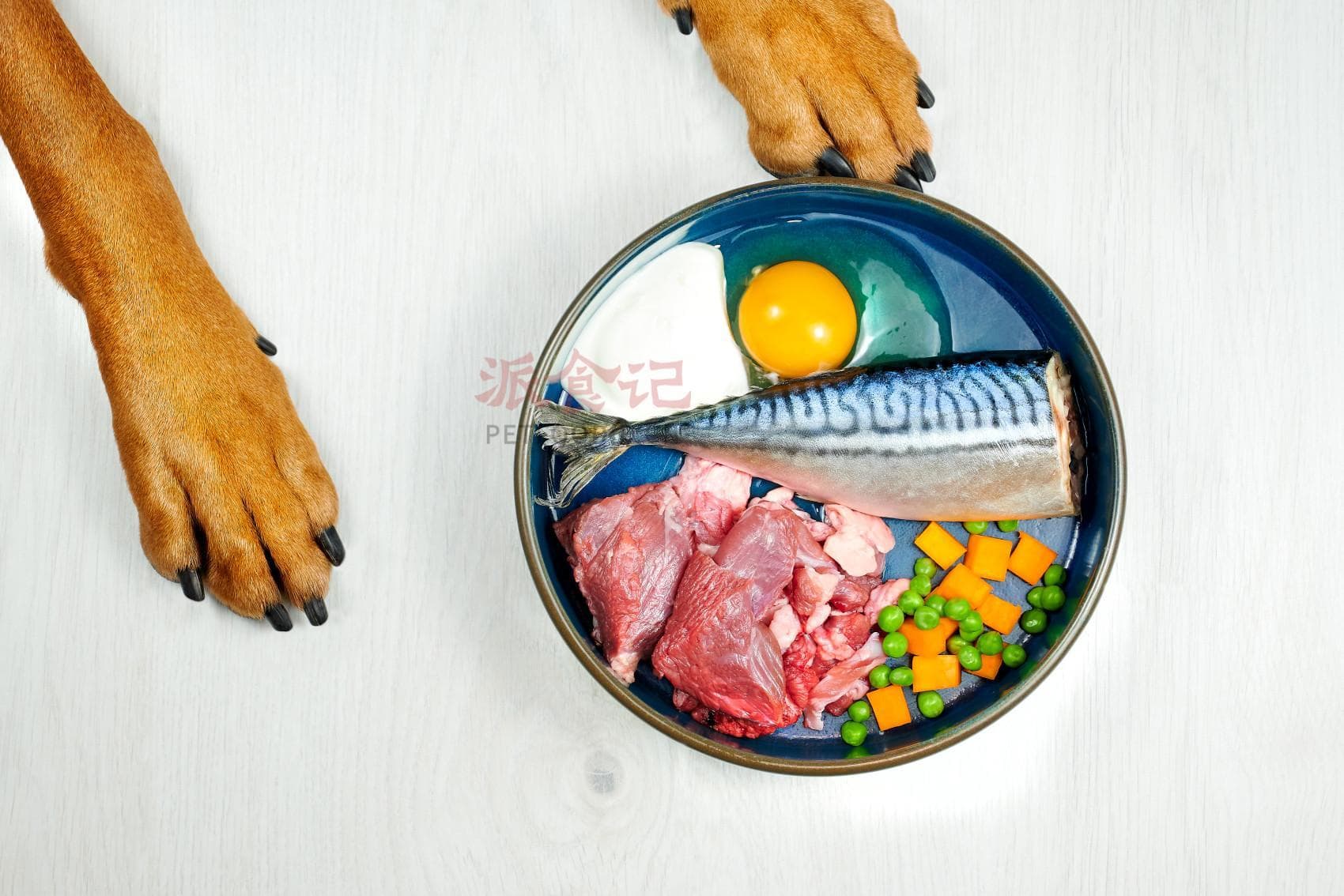 在家自制宠物食品真的好吗？看完你就懂了