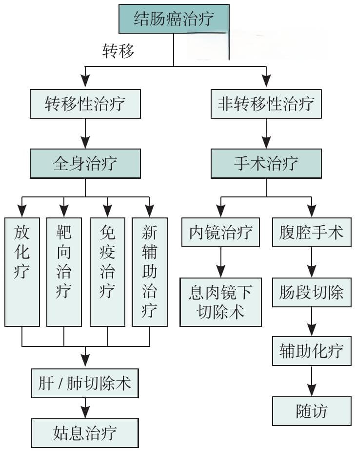 2024年V4版《NCCN结肠癌临床实践指南》更新解读