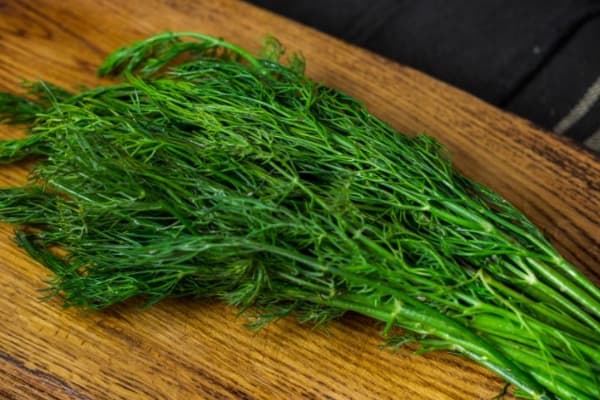 茴香菜小孩子能不能吃？食用时需要注意这些事项