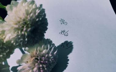 “假结婚”与“假离婚”有哪些法律风险