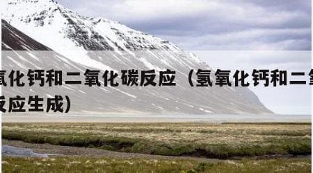氢氧化钙和二氧化碳反应（氢氧化钙和二氧化碳反应生成）