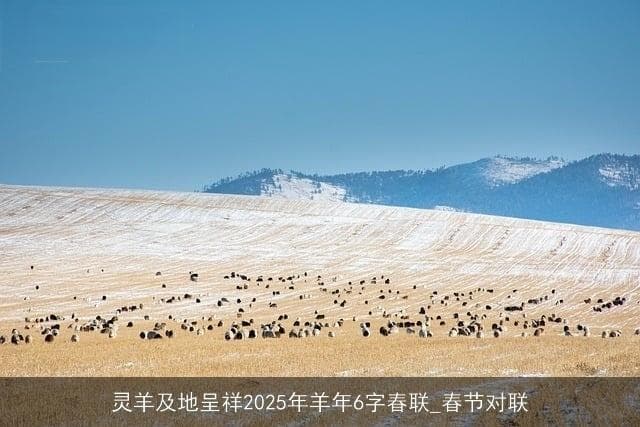2025年羊年六字春联“灵羊及地呈祥”赏析