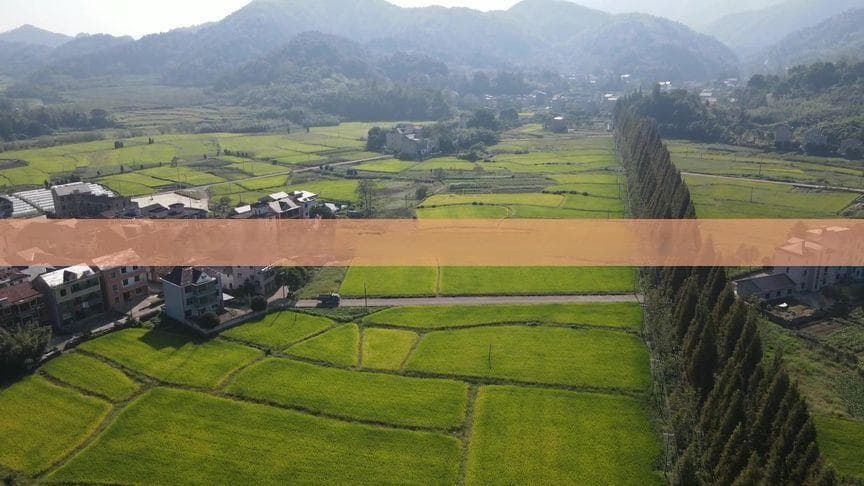 探秘四川乐山大佛：朝阳旅行全攻略，包括交通、门票和游览路线