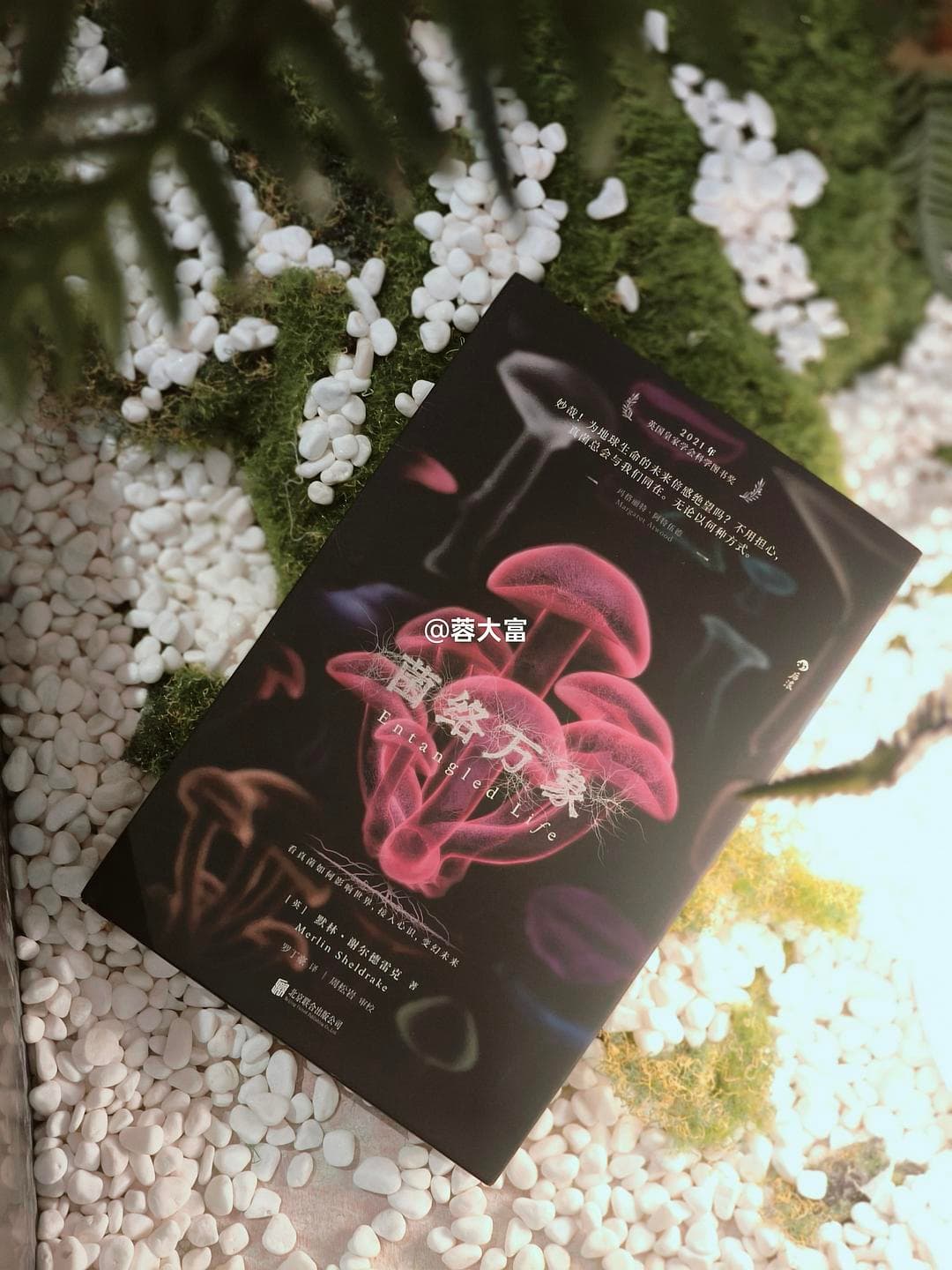 真菌能创造世界，也能分解世界