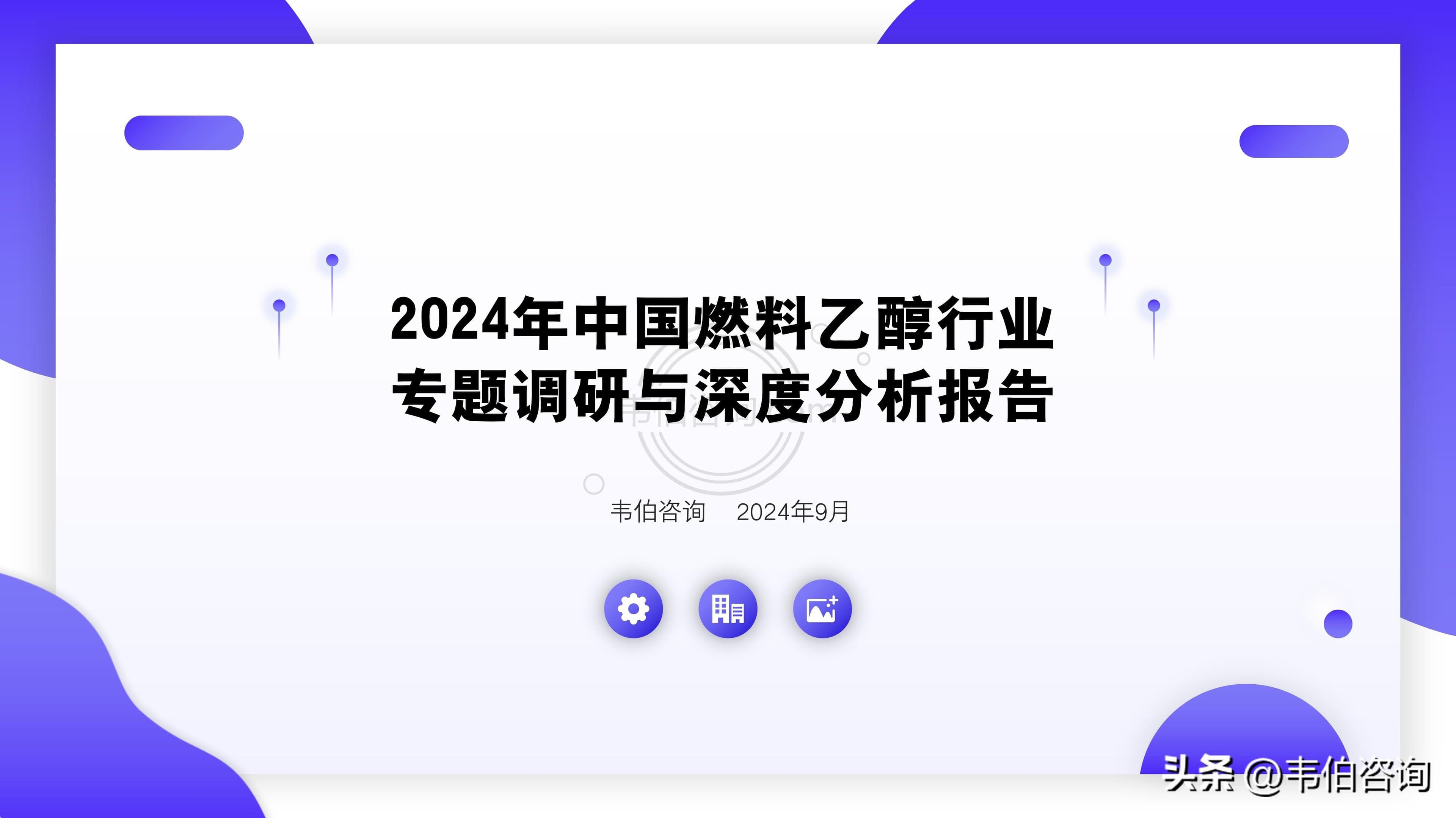 2024年中国燃料乙醇行业专题调研与深度分析报告