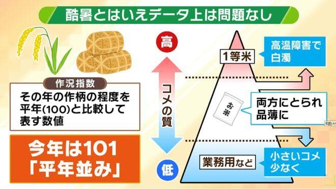 日本突然缺米了，网友：就剩一周口粮了……政府：不要恐慌，别囤米