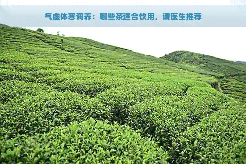 气虚体寒调养：哪些茶适合饮用，请医生推荐
